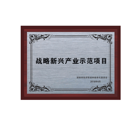 經貿信息委 戰略新興產業示范項目