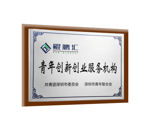 國高新青年創新創業服務機構技術企業